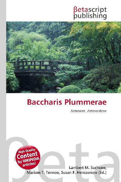 Baccharis Plummerae: Asterales, Asteroideae
