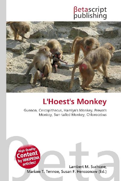 LHoests Monkey:         Guenon, Cercopithecus, Hamlyns Monkey, Preusss Monkey, Sun-tailed        Monkey, Chlorocebus