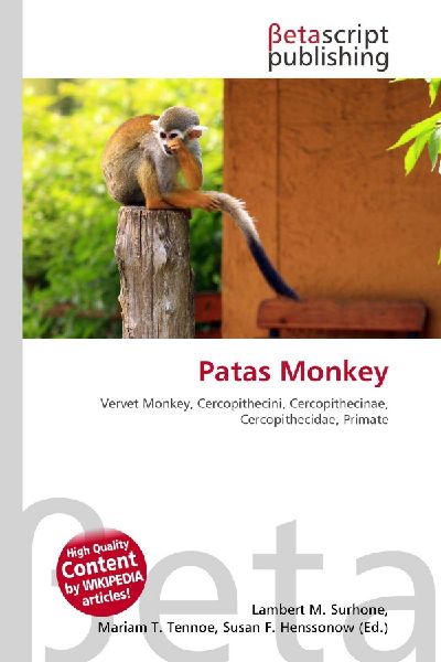 Patas Monkey: Vervet Monkey, Cercopithecini, Cercopithecinae, Cercopithecidae, Primate