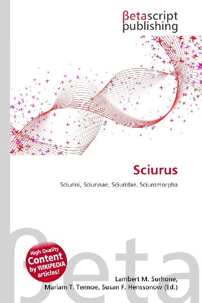 Sciurus: Sciurini, Sciurinae, Sciuridae, Sciuromorpha
