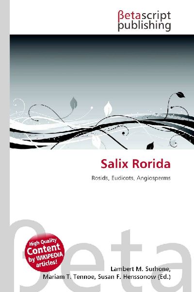Salix Rorida: Rosids, Eudicots, Angiosperms