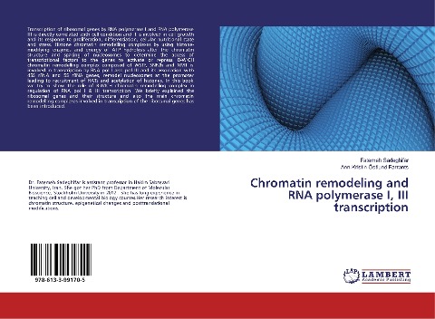 Chromatin remodeling and RNA polymerase I, III transcription