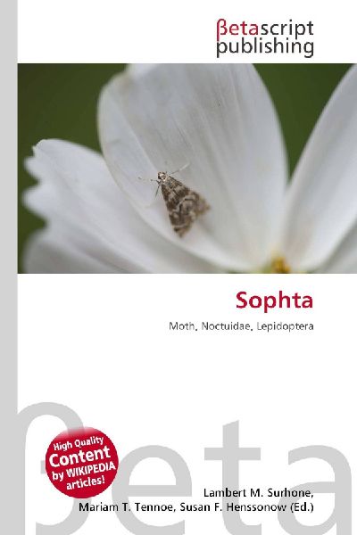 Sophta: Moth, Noctuidae, Lepidoptera