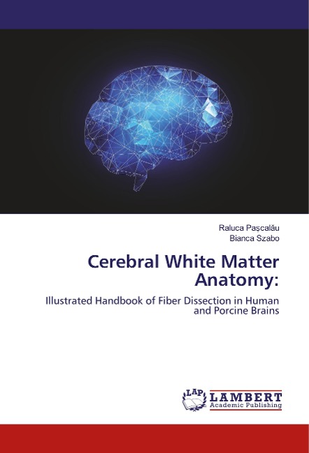 Cerebral White Matter Anatomy:: Illustrated Handbook of Fiber Dissection in Human and Porcine Brains