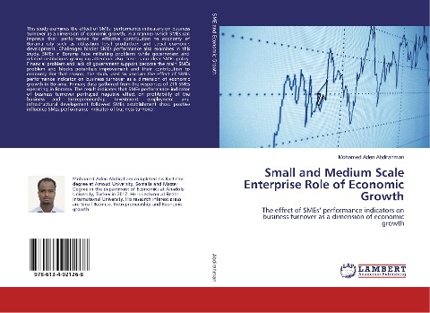 Small and Medium Scale Enterprise Role of Economic Growth: The effect of SMEs performance indicators on business turnover as a dimension of economic growth
