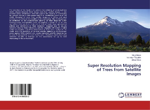 Super Resolution Mapping of Trees from Satellite Images