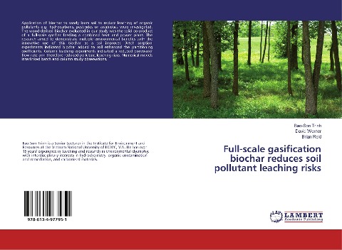 Full-scale gasification biochar reduces soil pollutant leaching risks