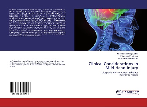 Clinical Considerations in Mild Head Injury: Diagnosis and Treatment Schemes Prognostic Factors