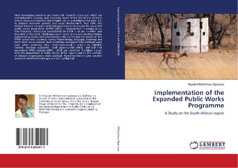 Implementation of the Expanded Public Works Programme: A Study on the South African region