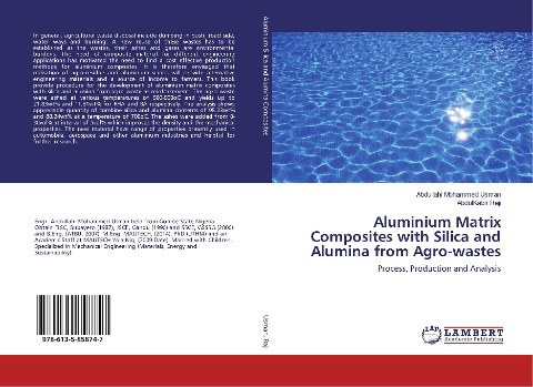 Aluminium Matrix Composites with Silica and Alumina from Agro-wastes: Process, Production and Analysis