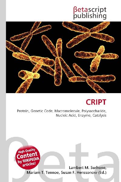 CRIPT:         Protein, Genetic Code, Macromolecule, Polysaccharide, Nucleic Acid,        Enzyme, Catalysis