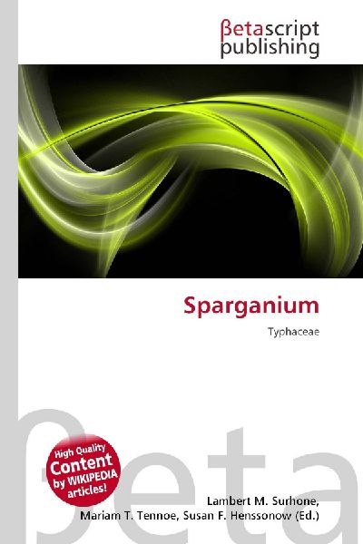 Sparganium: Typhaceae