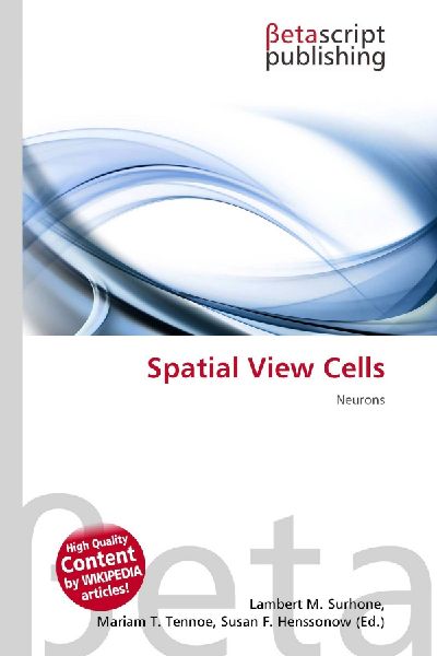 Spatial View Cells: Neurons