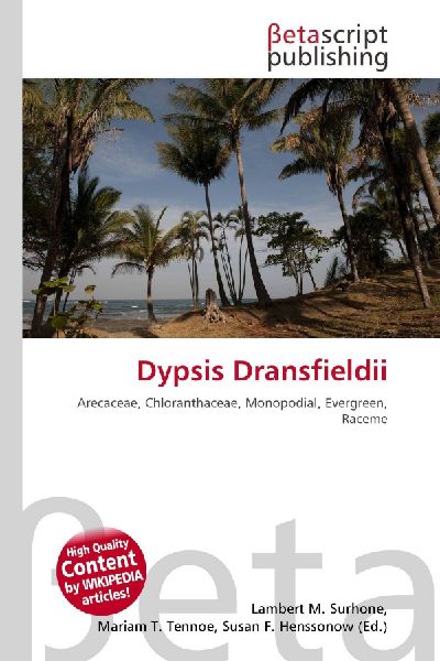 Dypsis Dransfieldii: Arecaceae, Chloranthaceae, Monopodial, Evergreen, Raceme