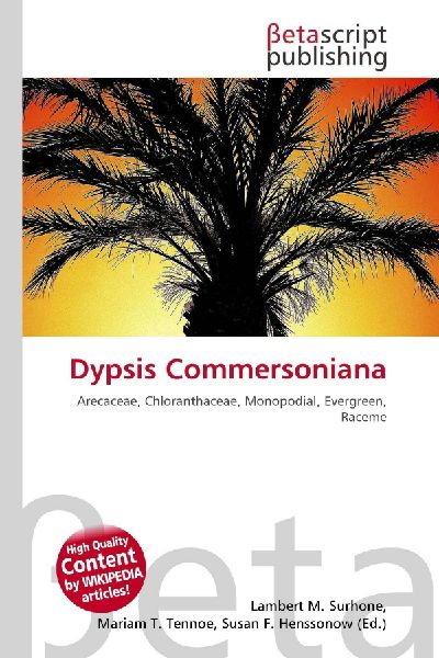 Dypsis Commersoniana: Arecaceae, Chloranthaceae, Monopodial, Evergreen, Raceme