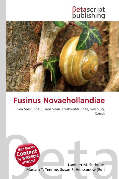Fusinus Novaehollandiae: Sea Snail, Snail, Land Snail, Freshwater Snail, Sea Slug, Conch
