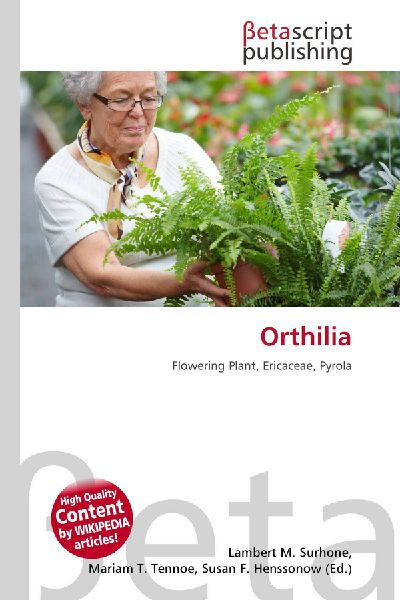 Orthilia: Flowering Plant, Ericaceae, Pyrola