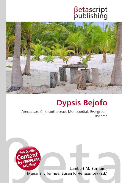 Dypsis Bejofo: Arecaceae, Chloranthaceae, Monopodial, Evergreen, Raceme