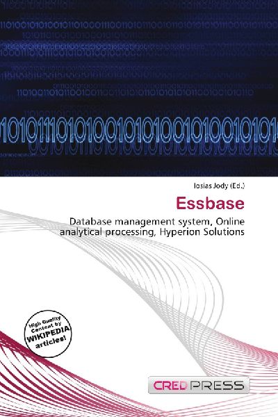 Essbase: Database management system, Online analytical processing, Hyperion Solutions