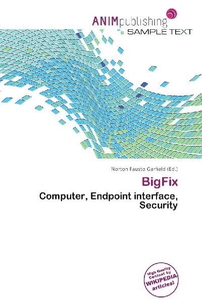 BigFix: Computer, Endpoint interface, Security
