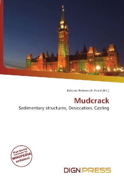 Mudcrack: Sedimentary structures, Desiccation, Casting