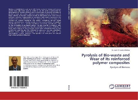 Pyrolysis of Bio-waste and Wear of its reinforced polymer composites: Pyrolysis of Biomass