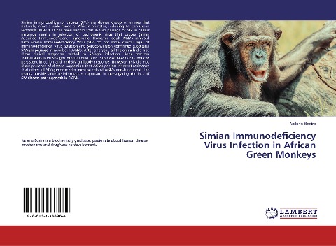 Simian Immunodeficiency Virus Infection in African Green Monkeys