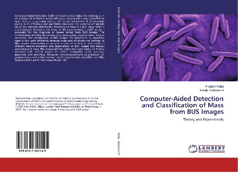 Computer-Aided Detection and Classification of Mass from BUS Images: Theory and Experiments