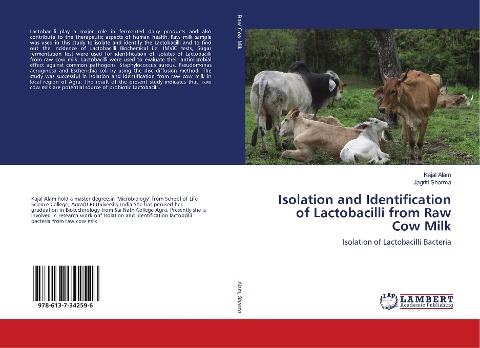 Isolation and Identification of Lactobacilli from Raw Cow Milk: Isolation of Lactobacilli Bacteria