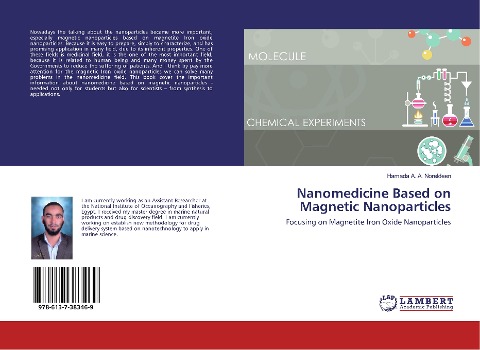 Nanomedicine Based on Magnetic Nanoparticles: Focusing on Magnetite Iron Oxide Nanoparticles
