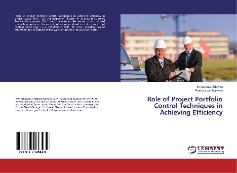 Role of Project Portfolio Control Techniques in Achieving Efficiency