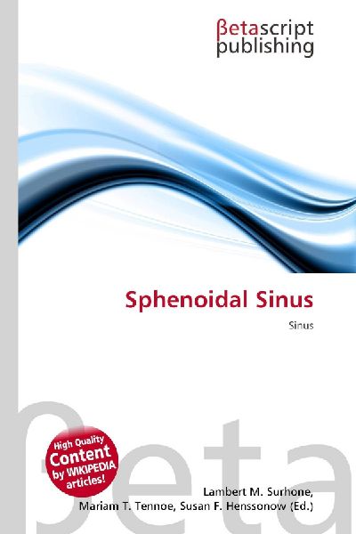 Sphenoidal Sinus: Sinus