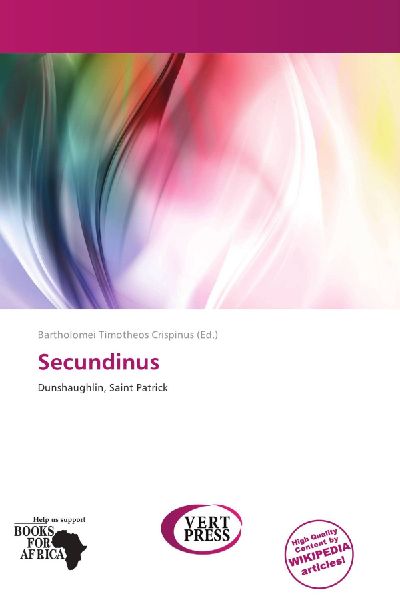 Secundinus: Dunshaughlin, Saint Patrick