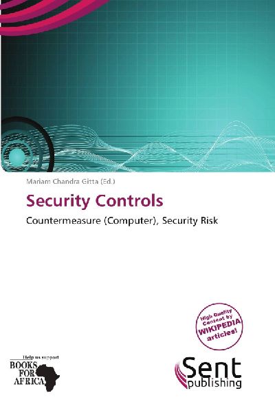Security Controls: Countermeasure (Computer), Security Risk