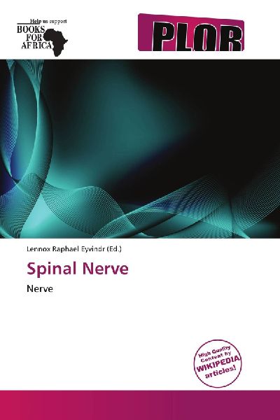 Spinal Nerve: Nerve