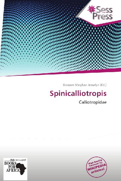Spinicalliotropis: Calliotropidae