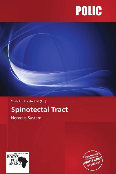 Spinotectal Tract: Nervous System