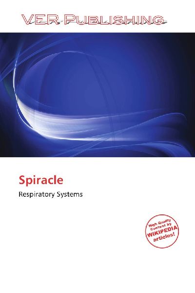 Spiracle: Respiratory Systems