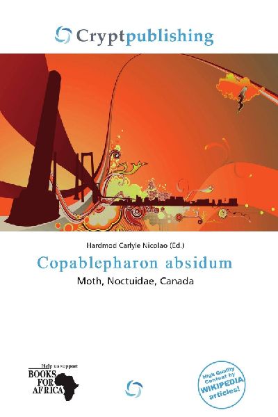 Copablepharon absidum: Moth, Noctuidae, Canada