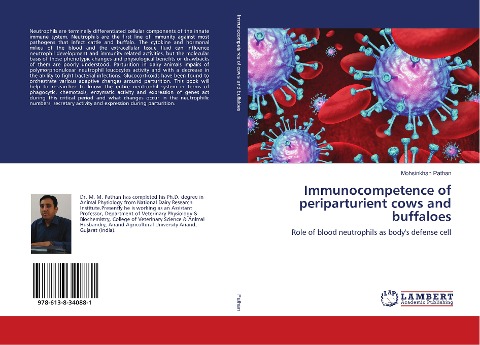 Immunocompetence of periparturient cows and buffaloes: Role of blood neutrophils as bodys defense cell