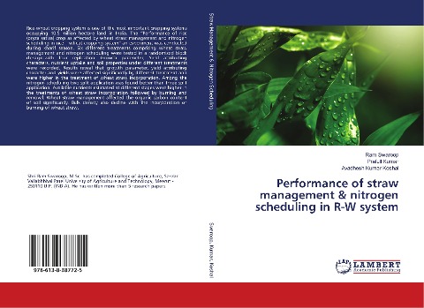 Performance of straw management & nitrogen scheduling in R-W system