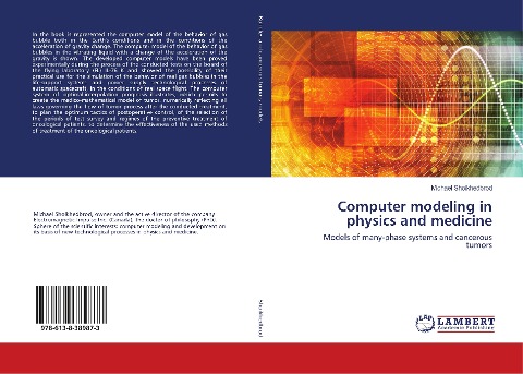 Computer modeling in physics and medicine: Models of many-phase systems and cancerous tumors