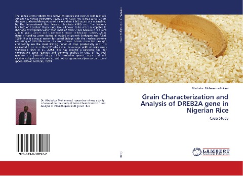 Grain Characterization and Analysis of DREB2A gene in Nigerian Rice: Case Study