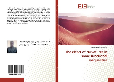 The effect of curvatures in some functional inequalities