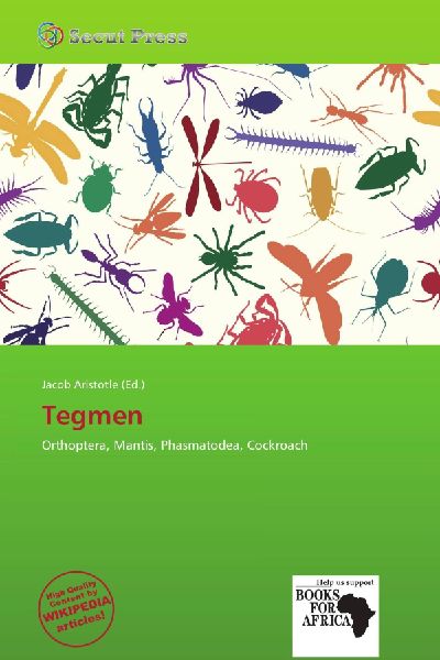 Tegmen: Orthoptera, Mantis, Phasmatodea, Cockroach