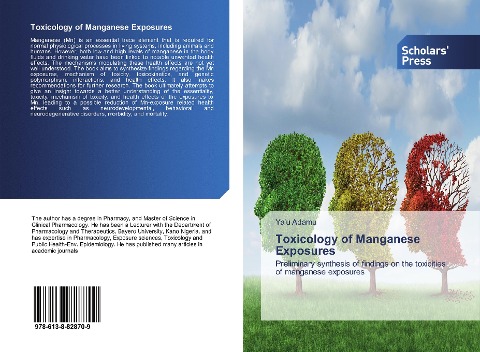 Toxicology of Manganese Exposures: Preliminary synthesis of findings on the toxicities of manganese exposures