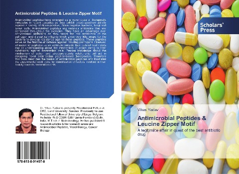 Antimicrobial Peptides &amp; Leucine Zipper Motif: A legitimate affair in quest of the best antibiotic drug