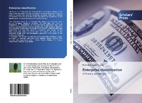 Enterprise classification: A Financial perspective