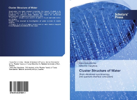 Cluster Structure of Water: (from vibrational spectroscopy and quantum-chemical simulation)