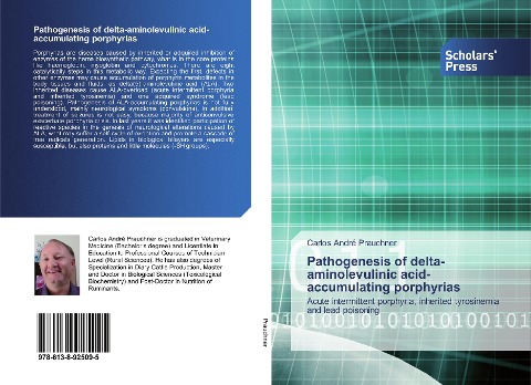 Pathogenesis of delta-aminolevulinic acid-accumulating porphyrias: Acute intermittent porphyria, inherited tyrosinemia and lead poisoning